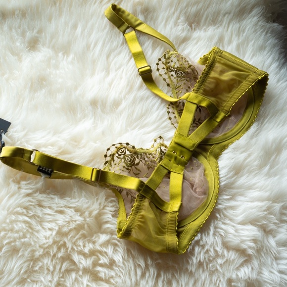 Dita Von Teese 34DD Chartreuse Bra - Picture 2 of 5